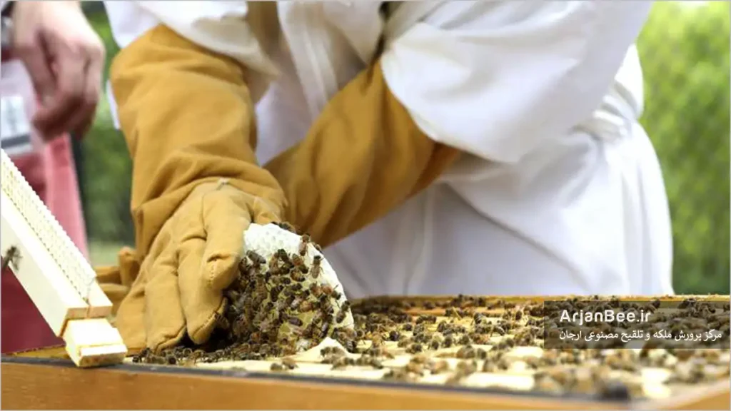 جمع آوری هرزه بافی