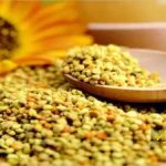 گرده زنبور عسل؛ فواید، خواص درمانی و پژوهشهای جدید 5 گرده زنبور عسل