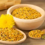 گرده زنبور عسل؛ فرآوری و کاربردهای تغذیهای و دارویی | قسمت 2 2 گرده زنبور عسل