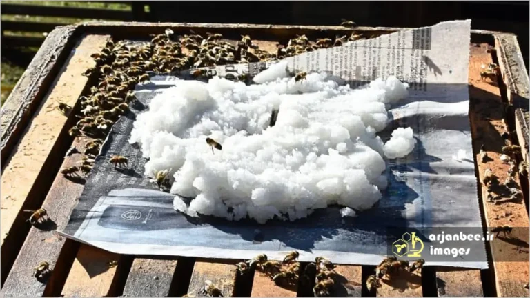 مصرف کیک شکر بوسیله زنبور عسل