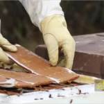 تغذیه زنبورها با مکمل گرده