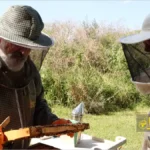 هنر پاسخگویی به پرسش‌های زنبورداری