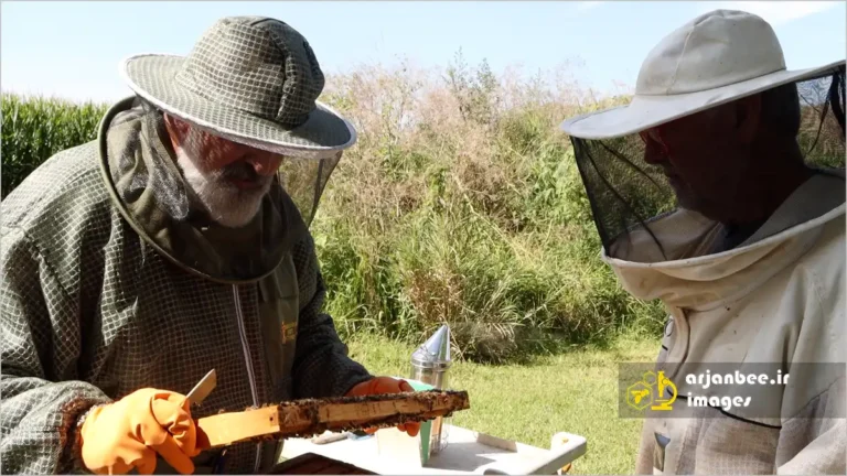 هنر پاسخگویی به پرسش‌های زنبورداری