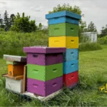 اضافه کردن طبقه عسل به کندو