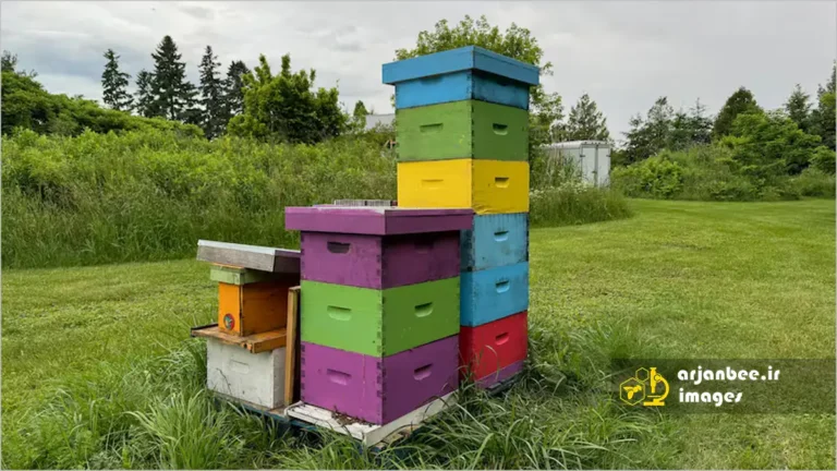 اضافه کردن طبقه عسل به کندو