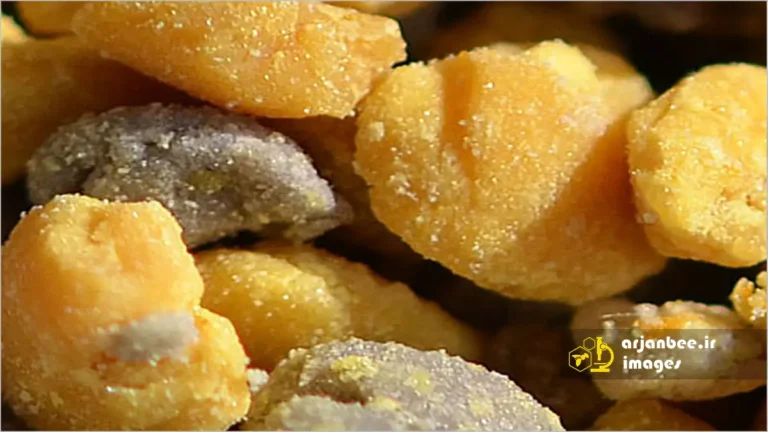 گلوله های گرده جمع آوری شده توسط زنبور عسل