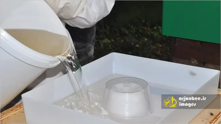 شربت زنبور عسل