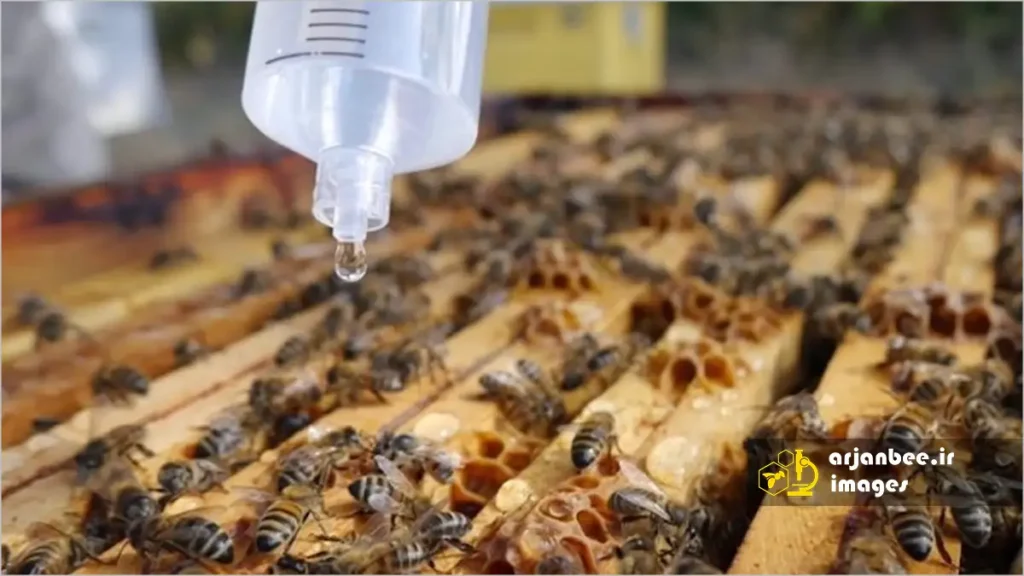 روش قطره ای اسید اگزالیک در كنترل كنه واروآ