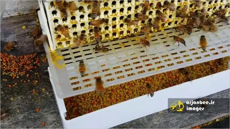 تله جمع‌آوری گرده از زنبورهای عسل