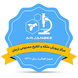 لوگوی سایت